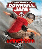 game pic for Activision Tony Hawks Downhill JAM 3D SE